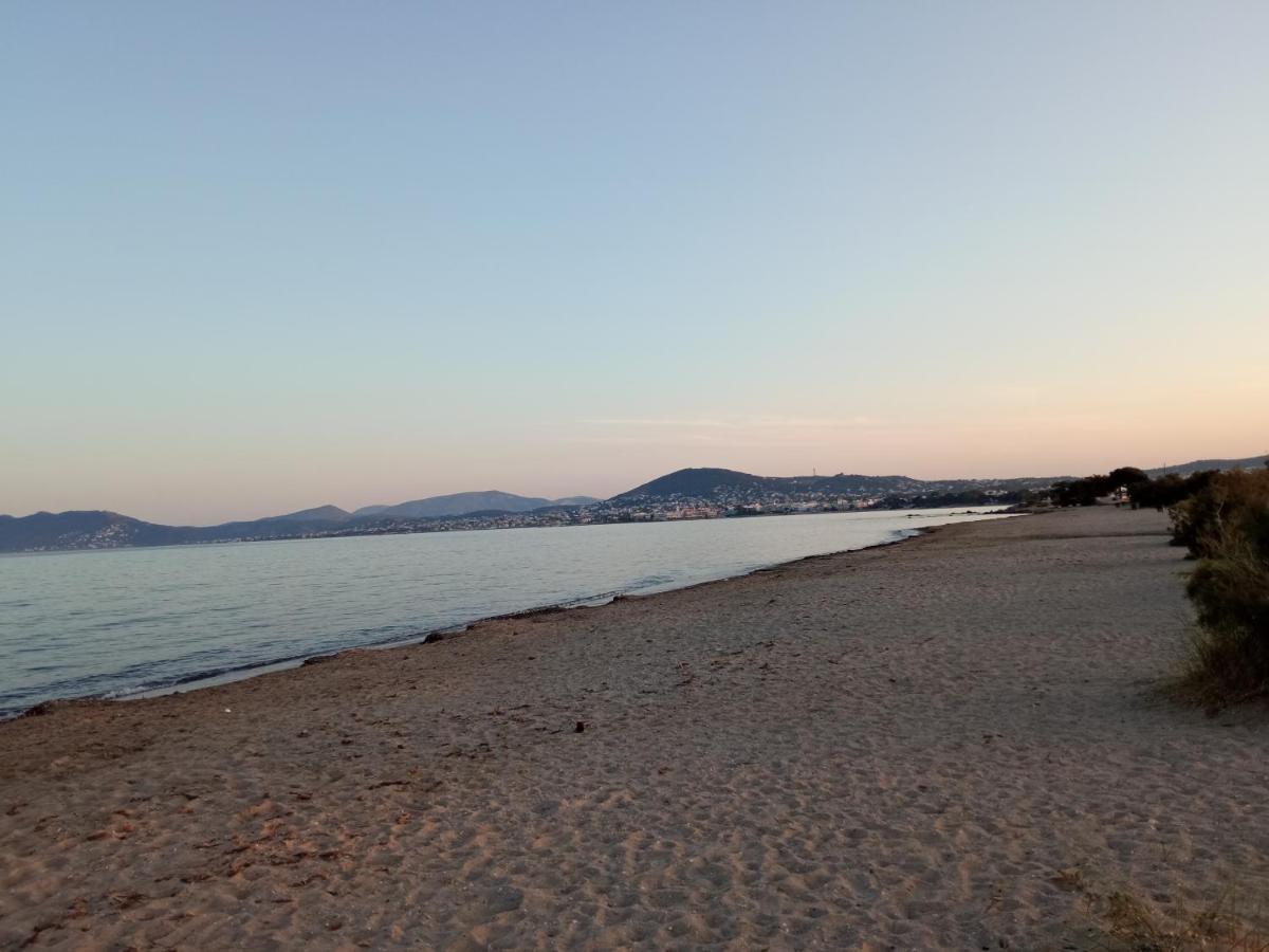 Flat With Garden Near Sea, Port And Airport Apartman Ártemida Kültér fotó